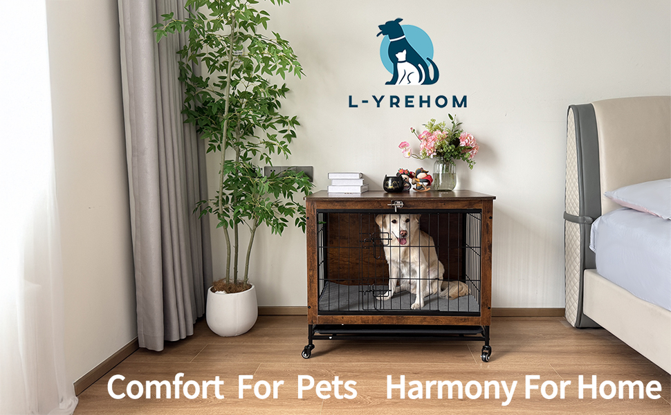 dog furniture indoor