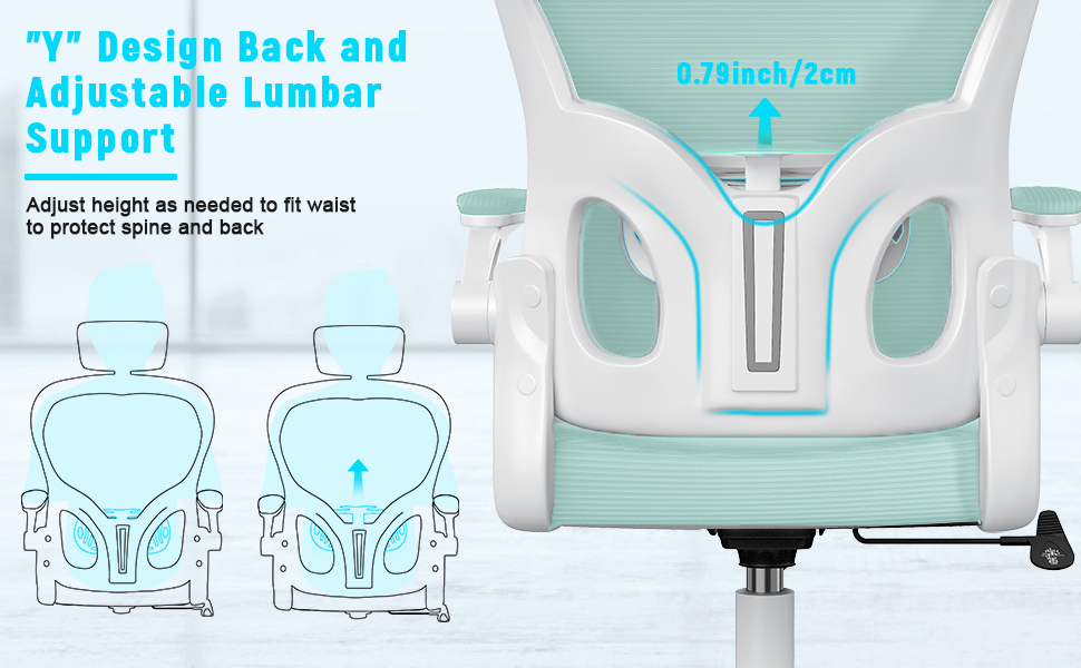 Naspaluro Ergonomic Office Chair High Back Desk Chair with Lumbar