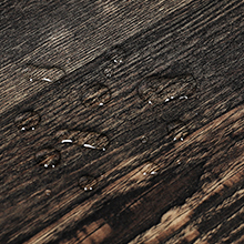 dog crates for large dogs