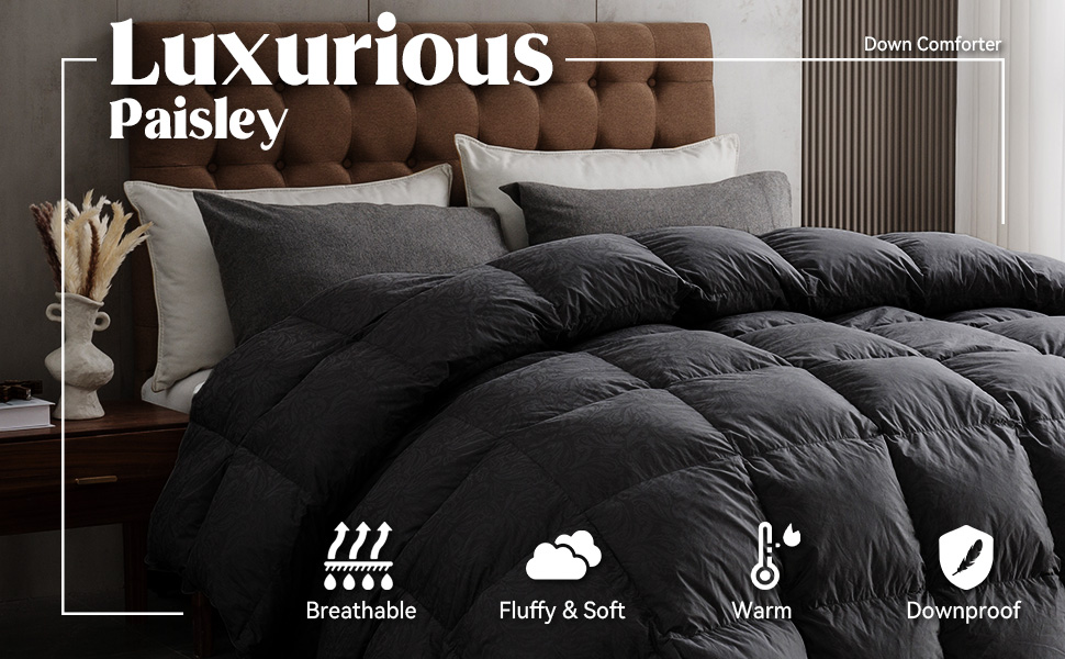 DAICO Goose Feather Down Comforter Full Size, All Season Medium Warmth Luxury Duvet