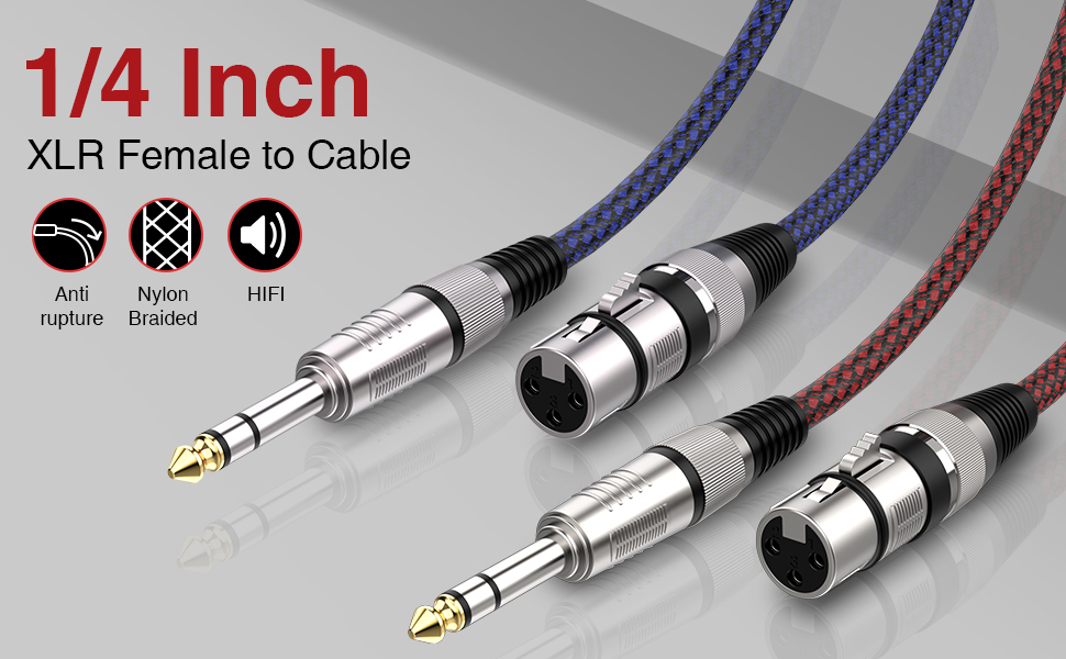 XLR