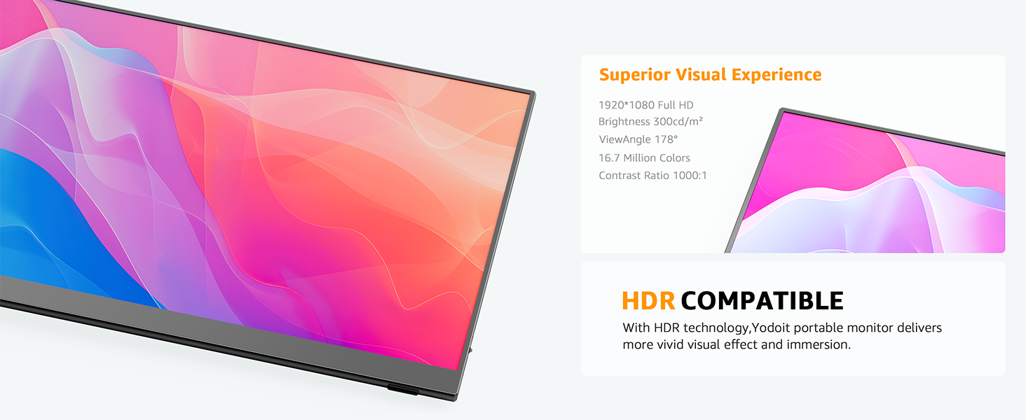 Portable monitor