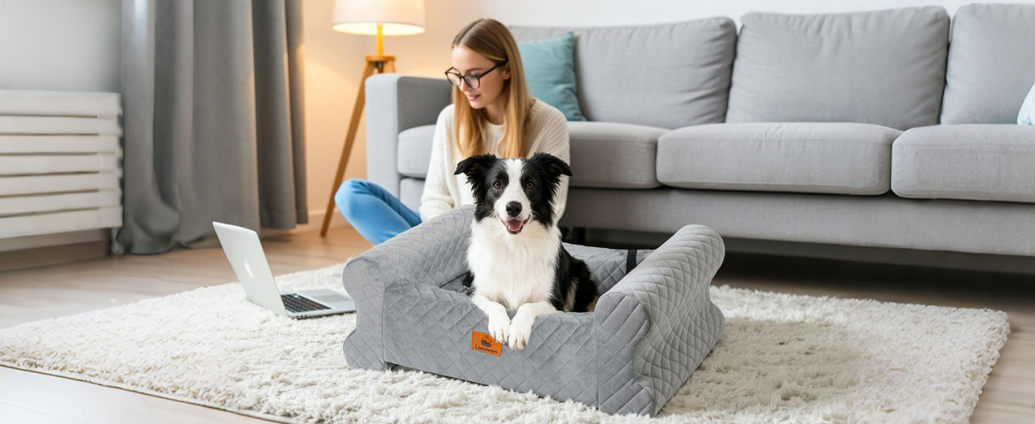 dog booster car seat
