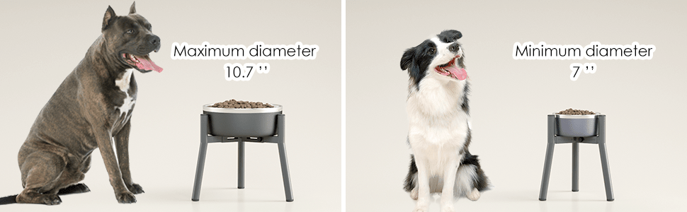 dog food bowl stand