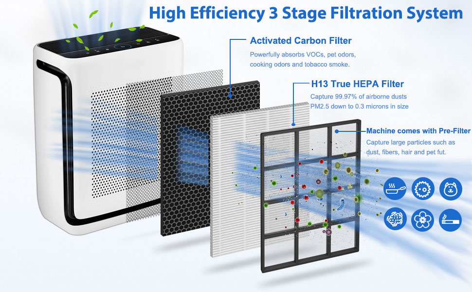 Extolife 2 Pack Vital 200S True HEPA Replacement Filter for