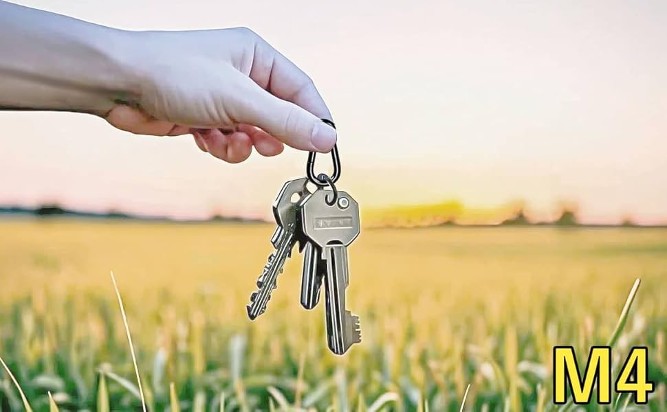 ステンレス カラビナ