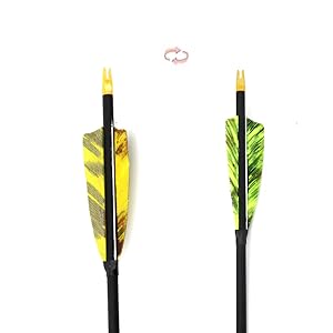 arrows for compound bow