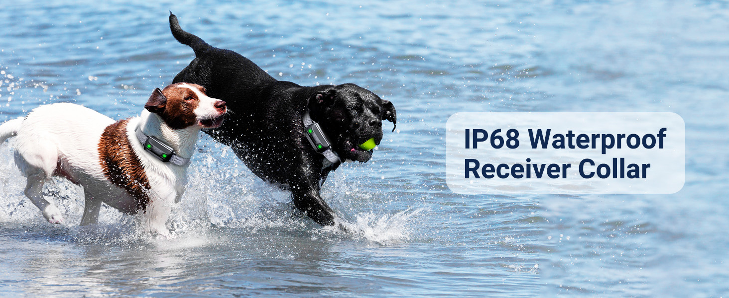 Dog Training Collar with Remote, PEACHAR Shock Collar for Dogs with