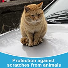 Auto Hub Car body cover