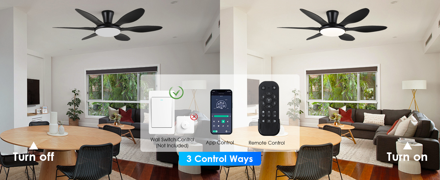 fan with light ceiling with remote
