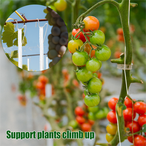 plant hooks