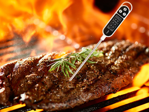 Meat thermometer