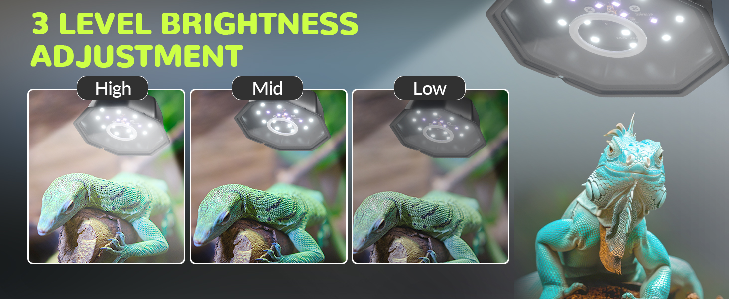 uvb reptile light fixture