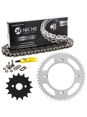 Chain8R專用 Amazon.com: 8TEN Full Chisel Skip Tooth Chainsaw Chain 20