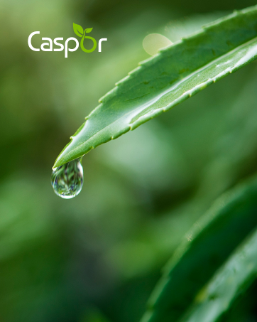 Brand_story_362x453_logo