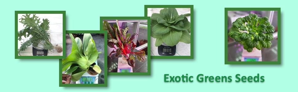 exotic greens seeds