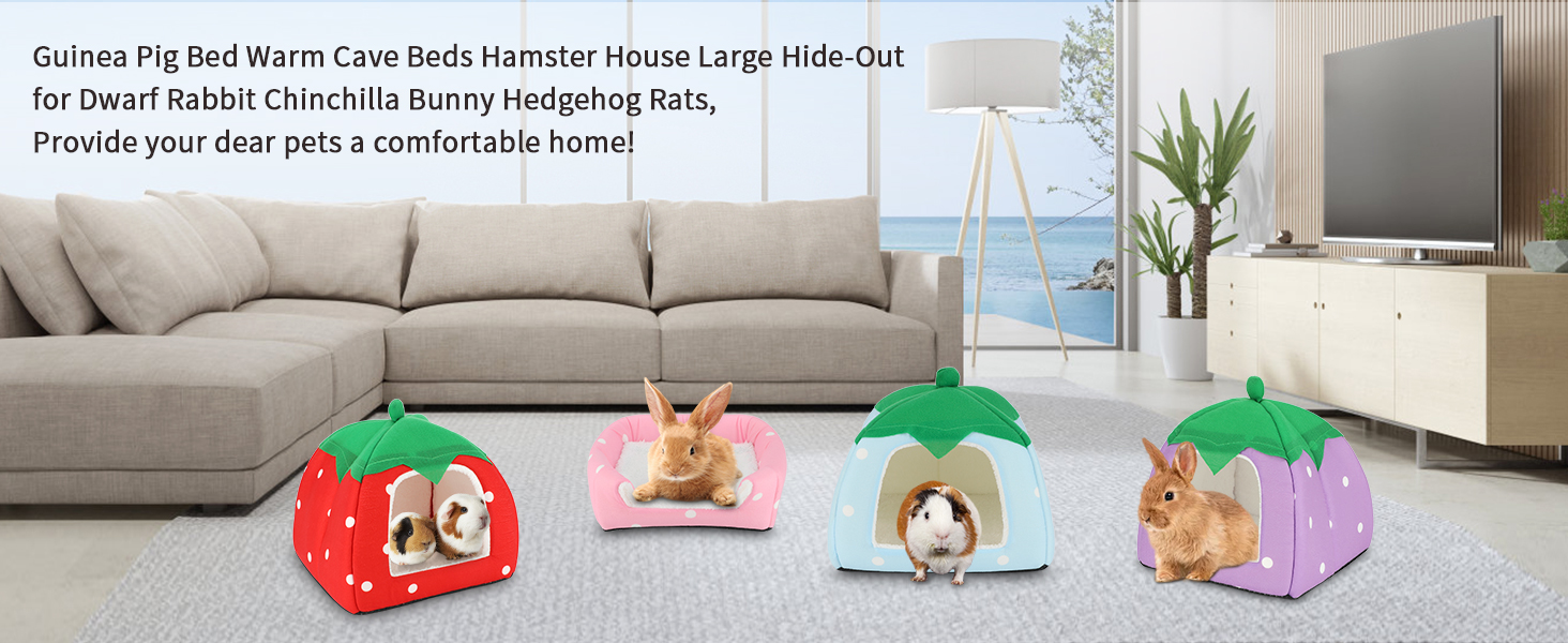 guinea pig hideout