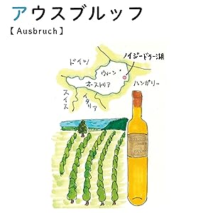 ワイン6カ国語辞典 ワイン語辞典: ワインにまつわる言葉をイラストと豆知識で