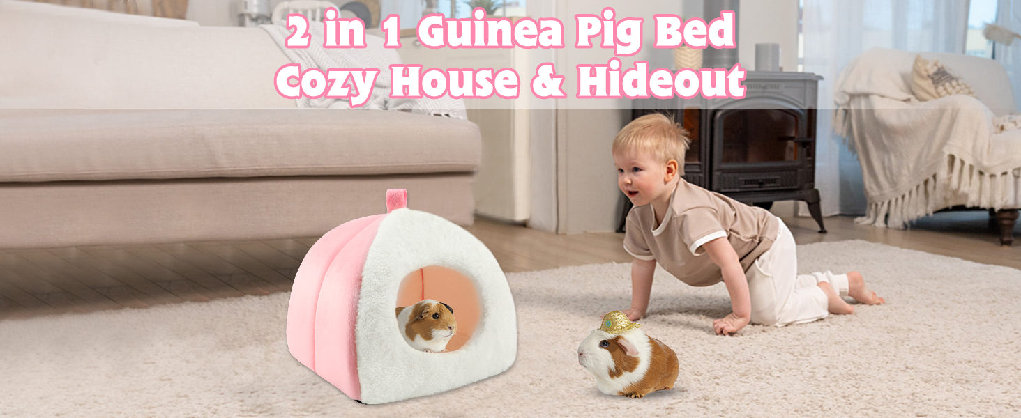 guinea pig hideout