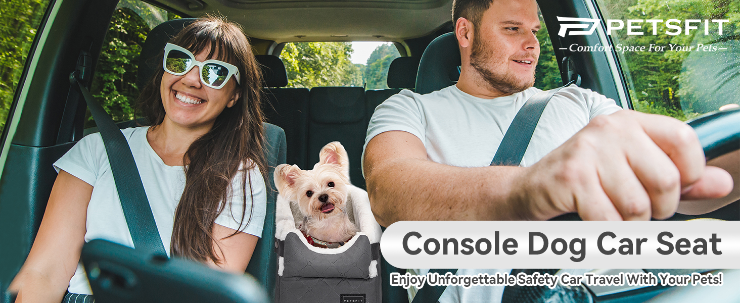 Center Console Dog Car Seat