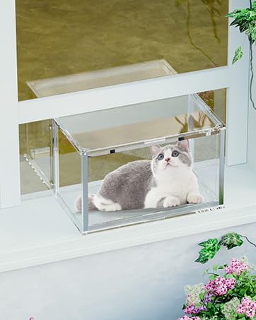 window catio