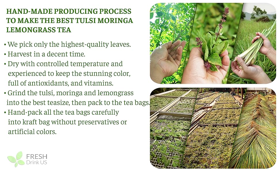 tulsi holy basil moringa lemongrass leaves leaf tea bags