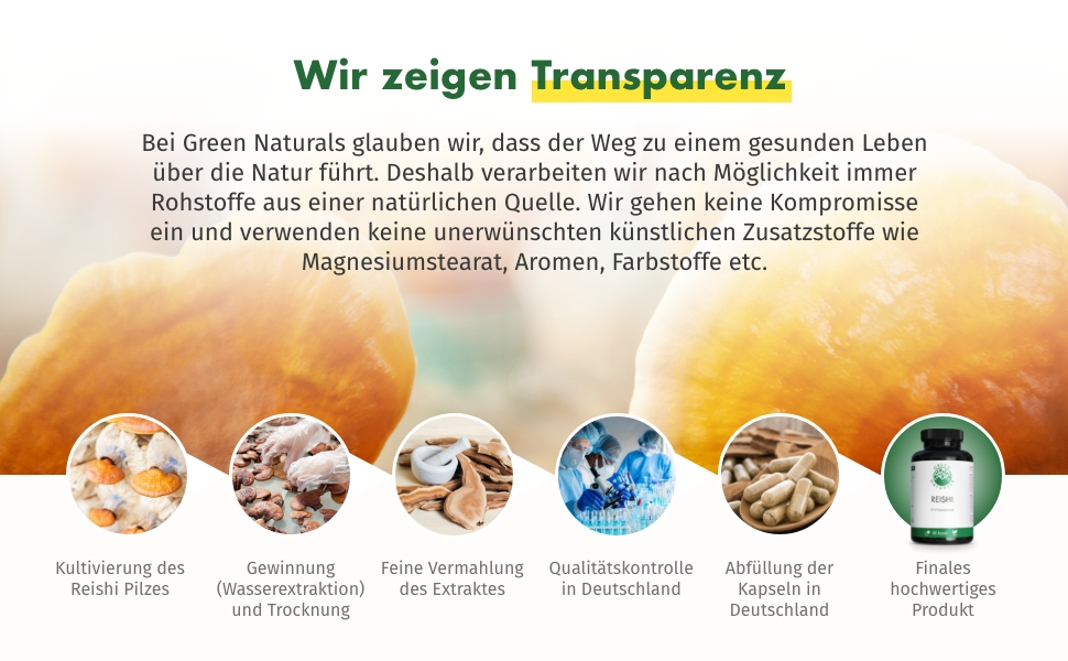 reishi ganoderma lucidum inonotus obliquus ling zhi heilen pilz nahrungsergänzungsmitteln