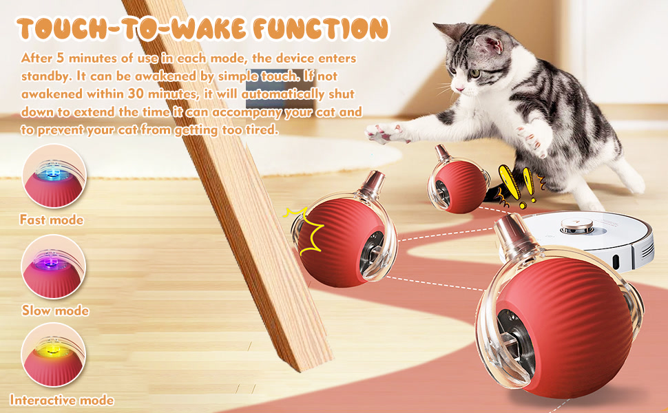 CAT BALL