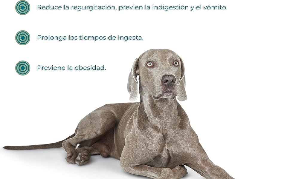COMEDERO PERROS