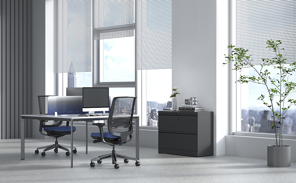 Yukimo Lateral File with Lock, Metal File for Home