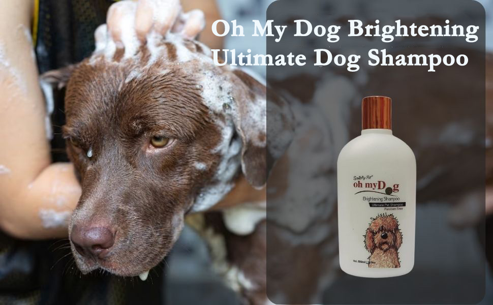 dog shampoo