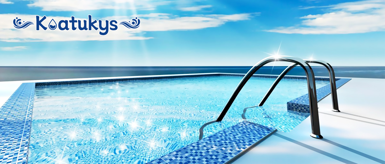 Koatukys ORing Rebuild Repair Kit for Pentair WhisperFlo