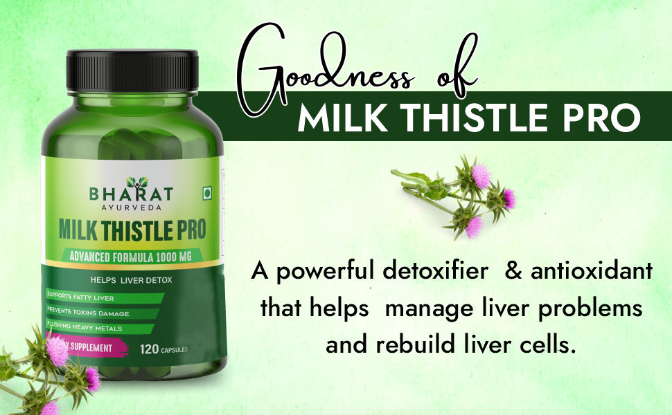 MILK THISTLE