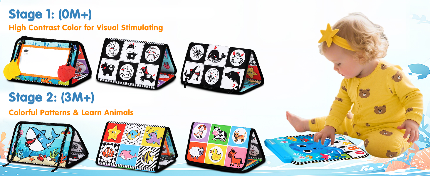Baby Toys 0-12 Months