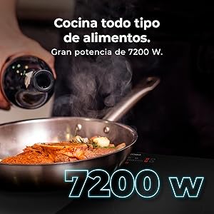 placa inducción; inducción; placa 4 fuegos; placa 4 zonas; placas de cocinar; placa Cecotec