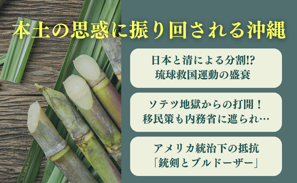 日本人として知っておきたい琉球・沖縄史 (PHP新書) | 原口 泉
