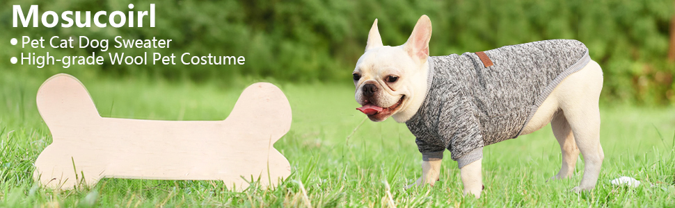 pet dog sweater