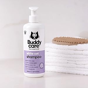 Buddycare
