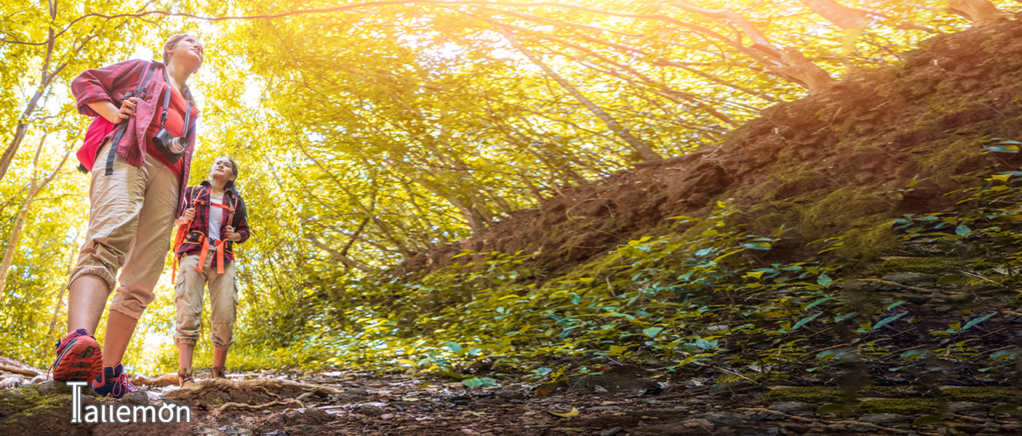 Tallemon womens comfy hiking cargo pants with zipper pocket summer autumn fall spring