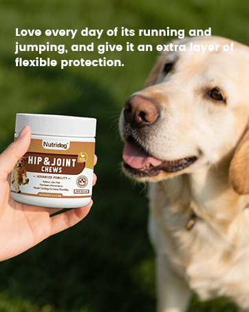 joint supplement for dogs