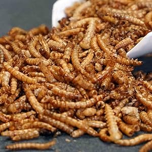 Small manufacture image 4