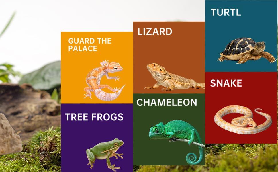 snake tank accessories