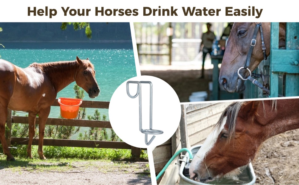 Horse Water Bucket Hooks