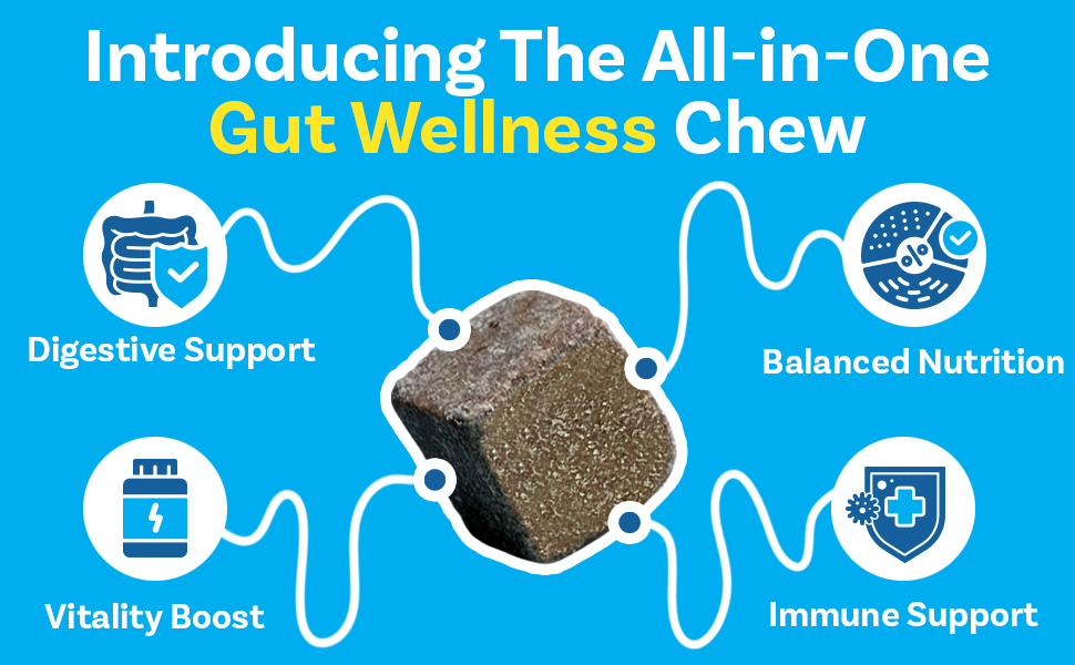 Introducing The All-in-One Gut Wellness Chew