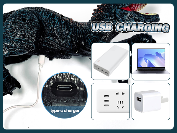 Rechargeable Remote Control Robot