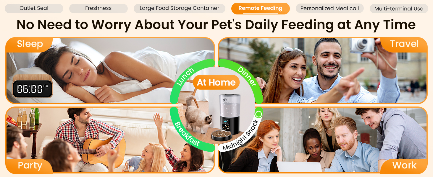 automatic cat feeder