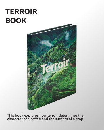 terroir book