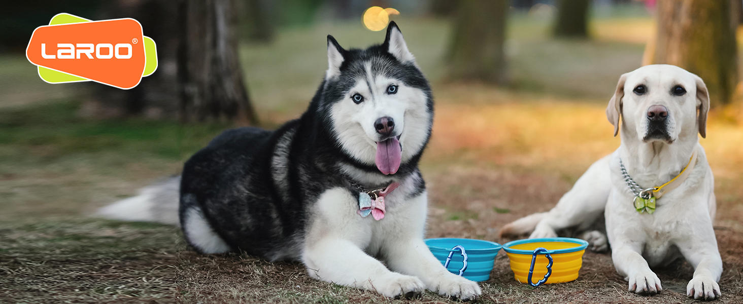 Collapsible Dog Bowls