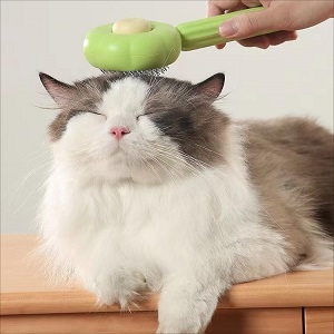 Cat Grooming Brush