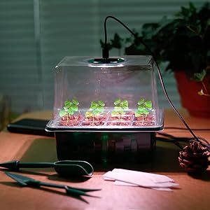 seed starter tray with grow light